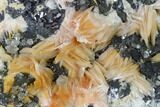 Cerussite Crystals with Bladed Barite on Galena - Morocco #165743-1